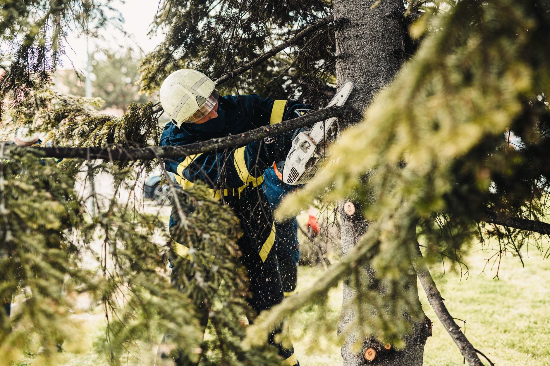 Tree Wolves arborist making a controlled cut mid-removal