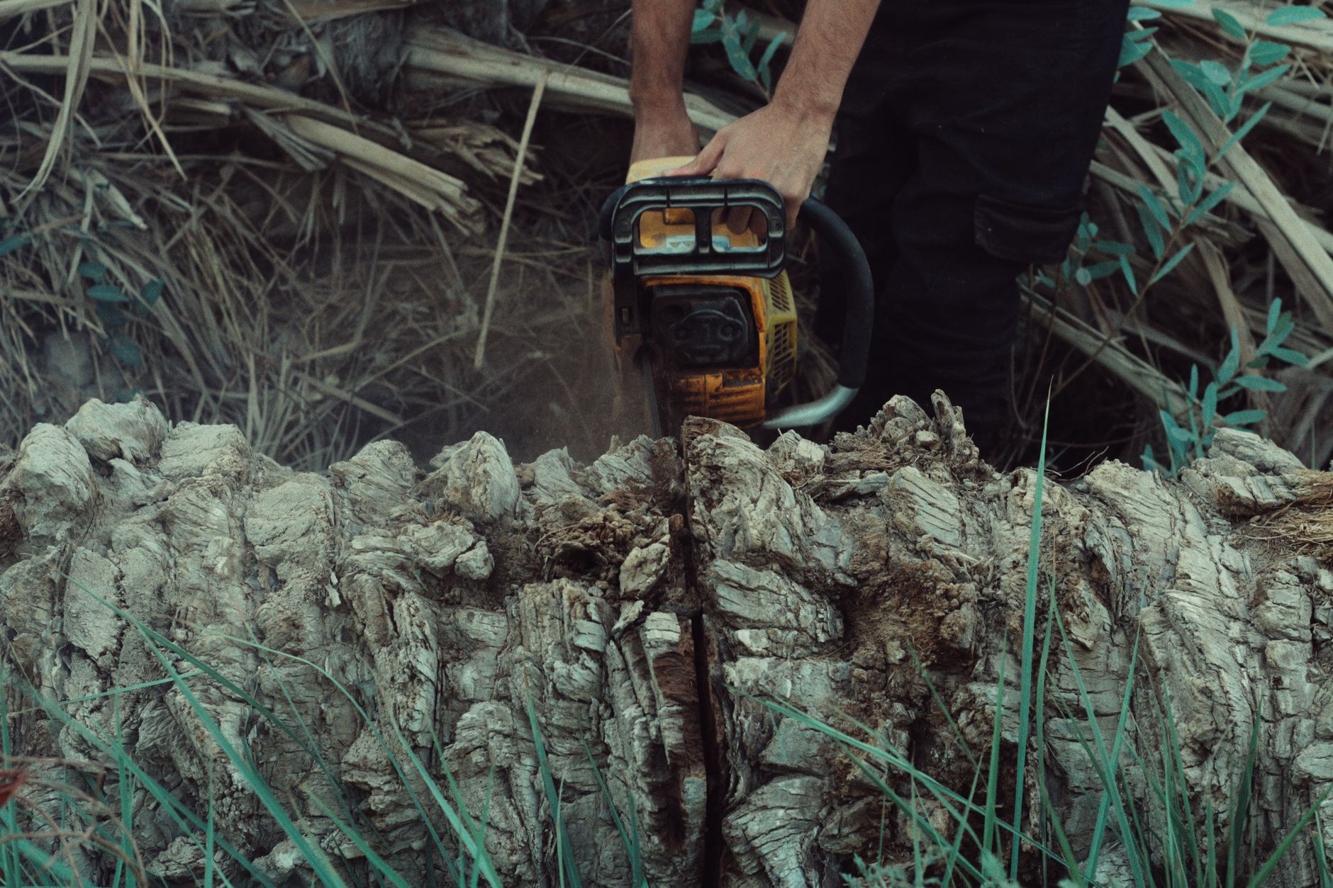 Chainsaw cutting through a heavy log section during a removal
