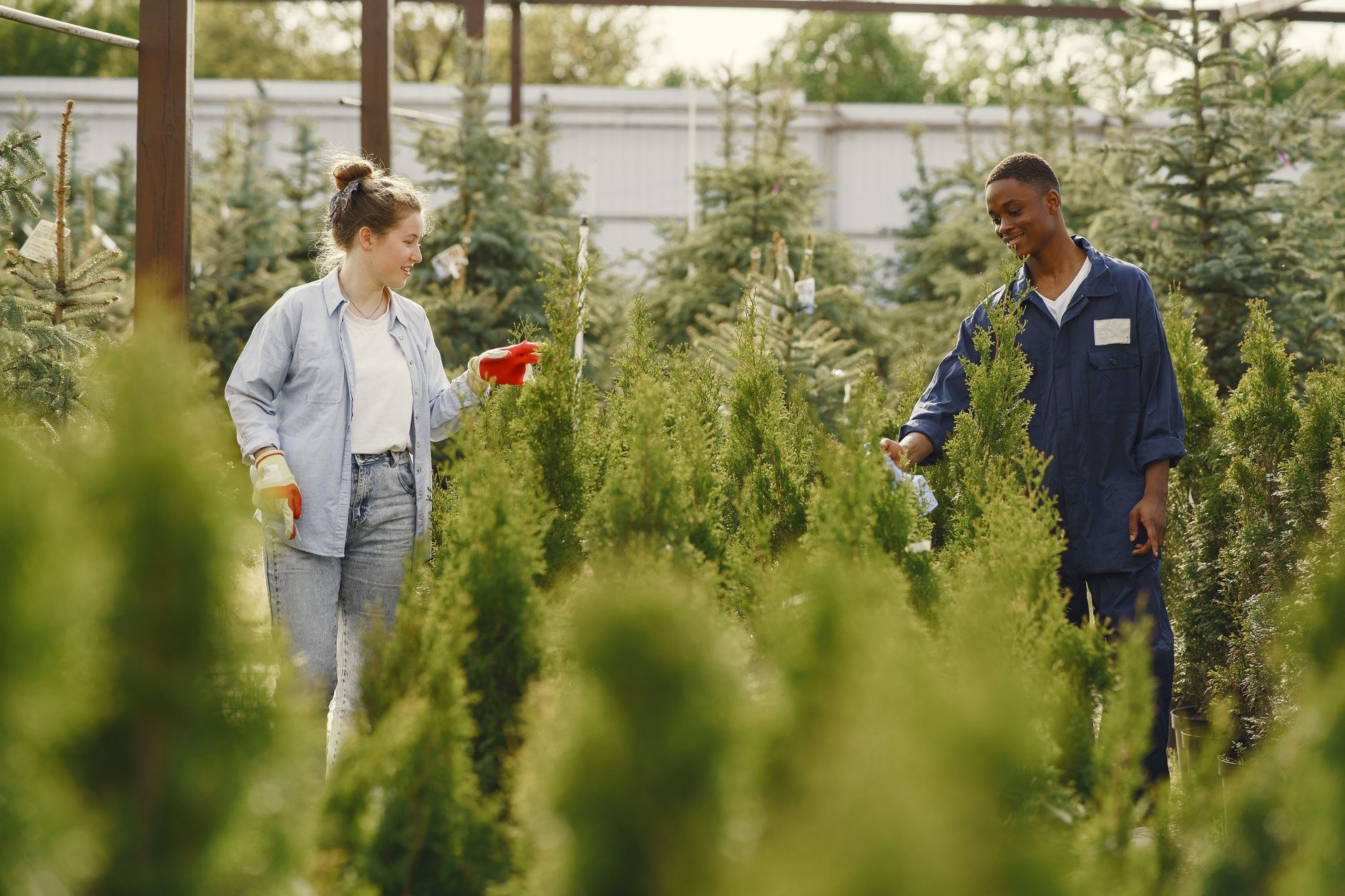 Tree Wolves crew on a job site